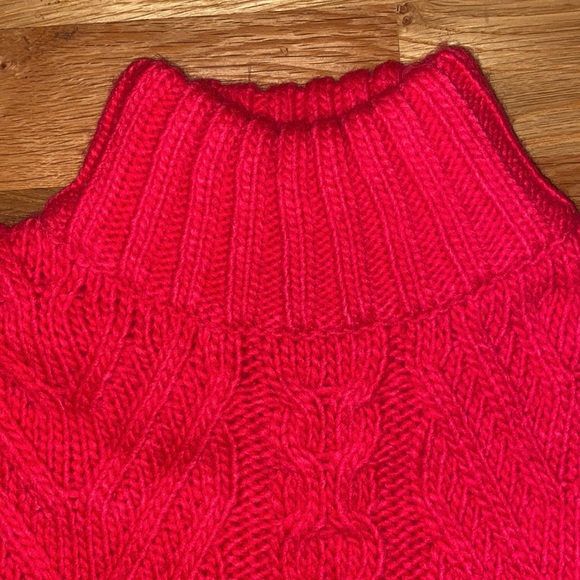 NWT French Connection NISSA CHUNKY CABLE-KNIT SWEATER IN BARBERRY - Picture 5 of 8